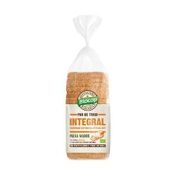 PAN MOLDE TRIGO INTEGRAL MASA MADRE 400 GRS