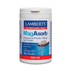 LAMBERT - MAGABSORB MAG 375 MG. POLVO 165 G.
