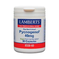 LAMBERT - PYCNOGENOL 60 CAPS.