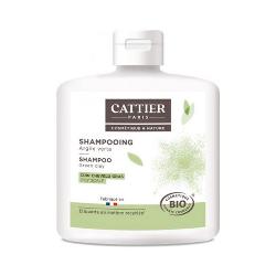 CATTIER-CHAMPU CUERO CABELLUDO GRASO ARCILLA VERDE 250 ML