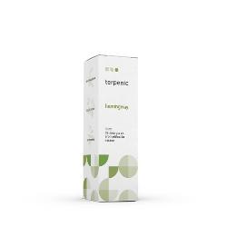  SINERGIA HEMINGWAY 30 Ml.