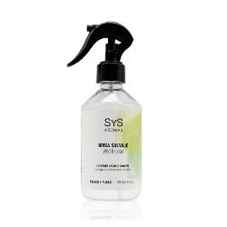  AMBIENTADOR PULV. EXPERIENCE BRISA SALVAJE 300 ML