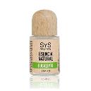  ESENCIA QUEMAR EUCALIPTO 12 ML